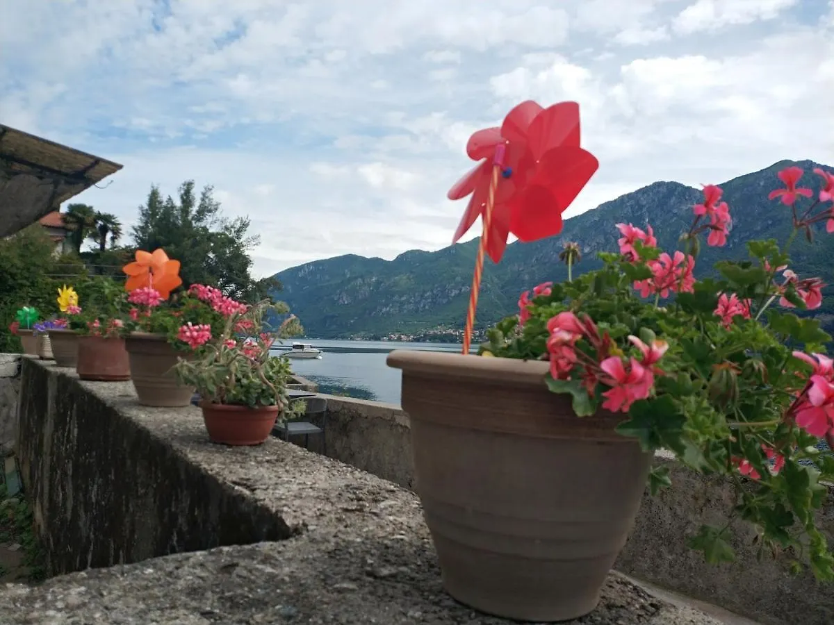 Apartment A Lago Private Beach And Parking Oliveto Lario 0*,